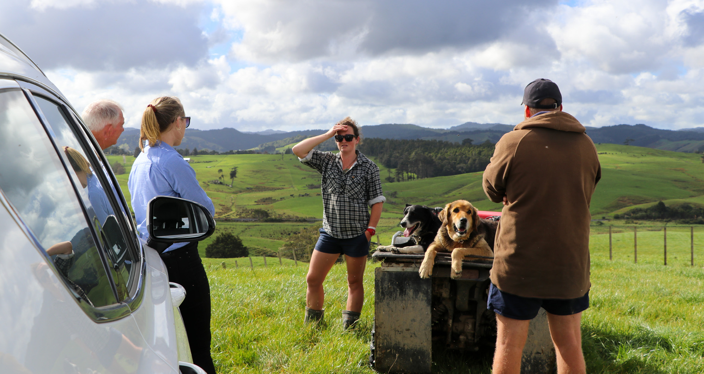 Over the Farm Gate Young Wellsford farming couple making the most of